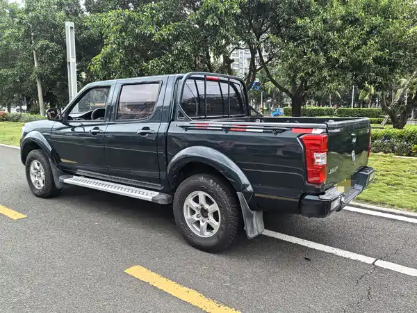 Dongfeng Ruiqi 2018
