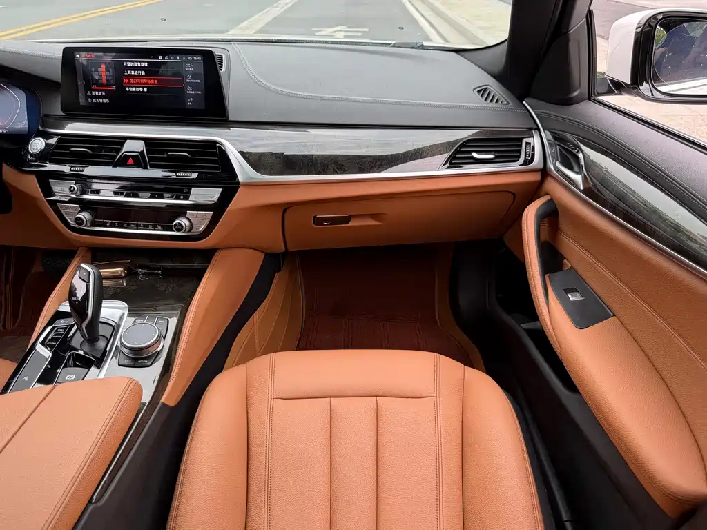 BMW 5 Series 2020 — фото 13