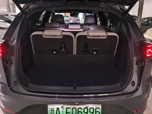 BYD Tang New Energy 2024