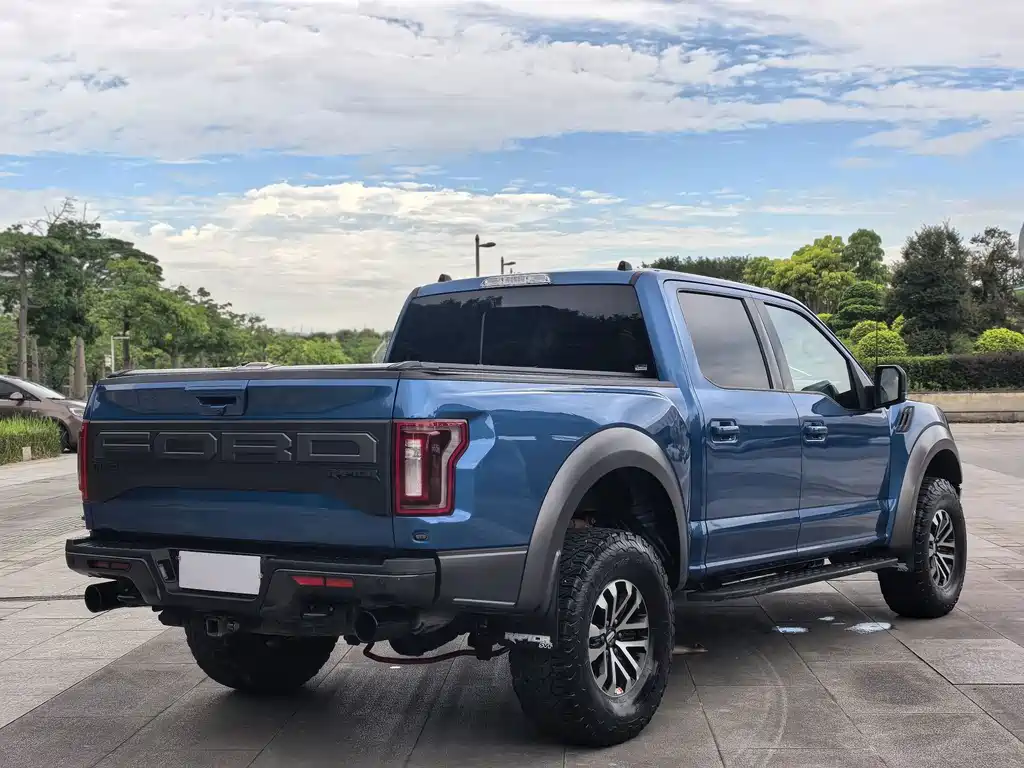 Ford F-150 Raptor 2019 — фото 5