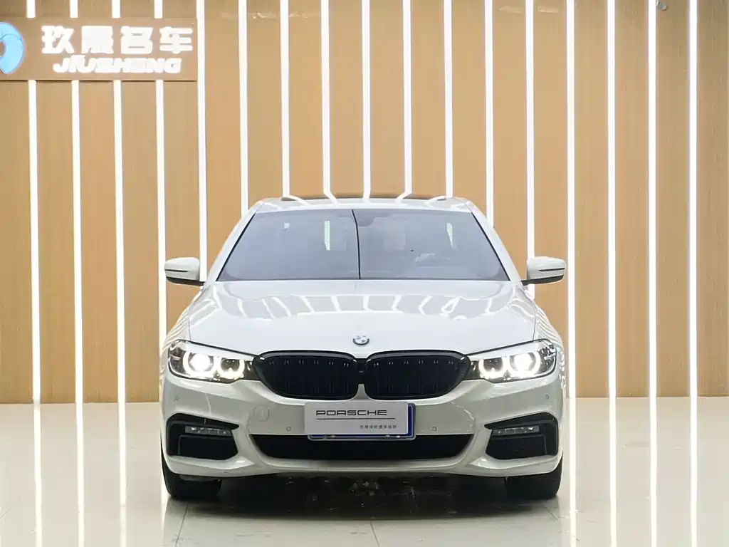 BMW 5 Series 2019