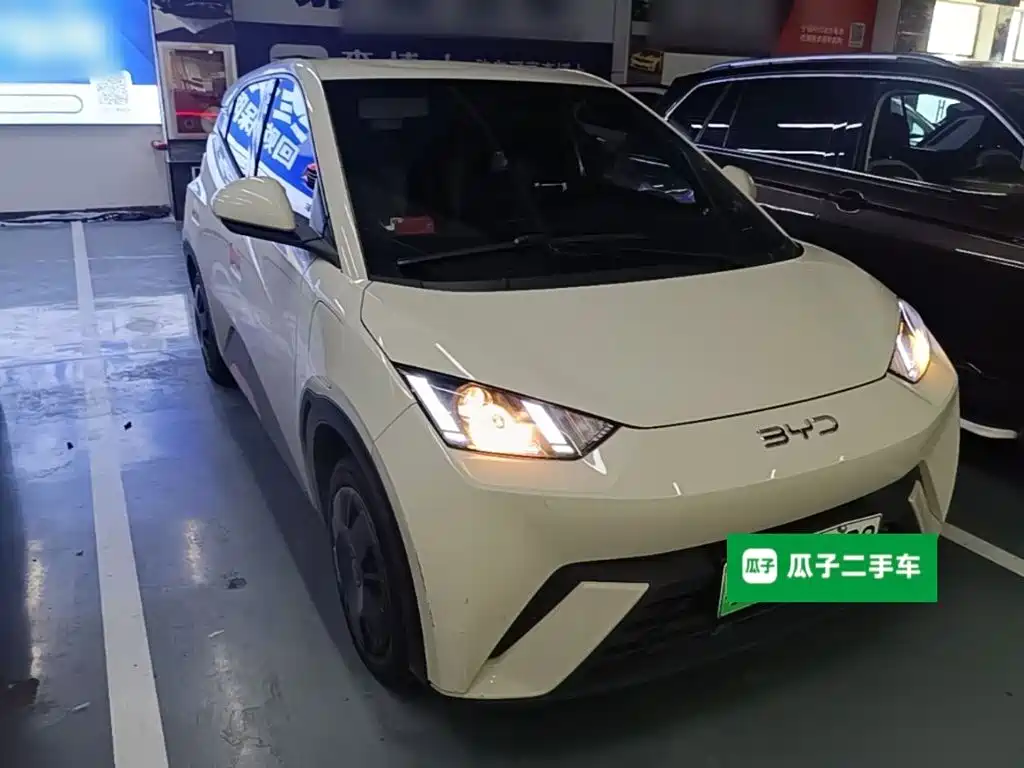 BYD Seagull 2024