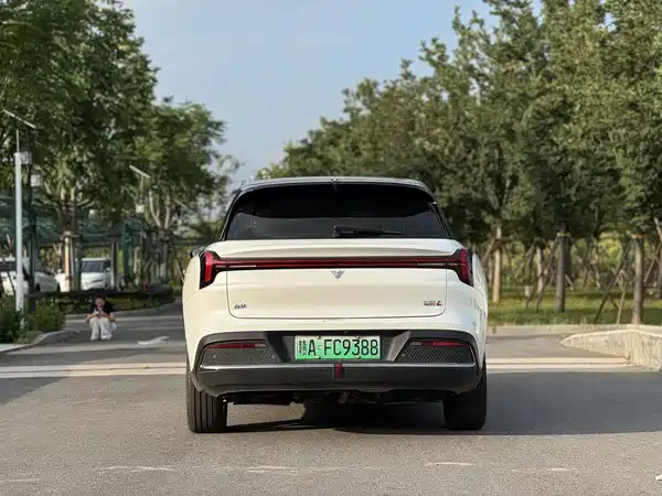 Neta L 2024