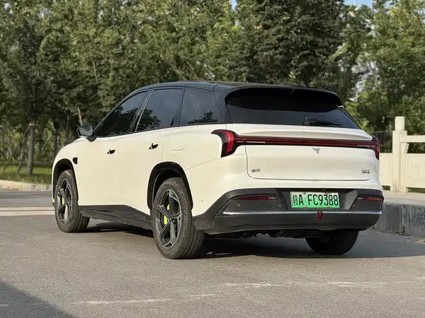 Neta L 2024