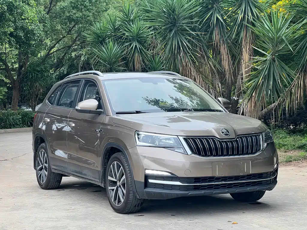 Skoda Kamiq 2020