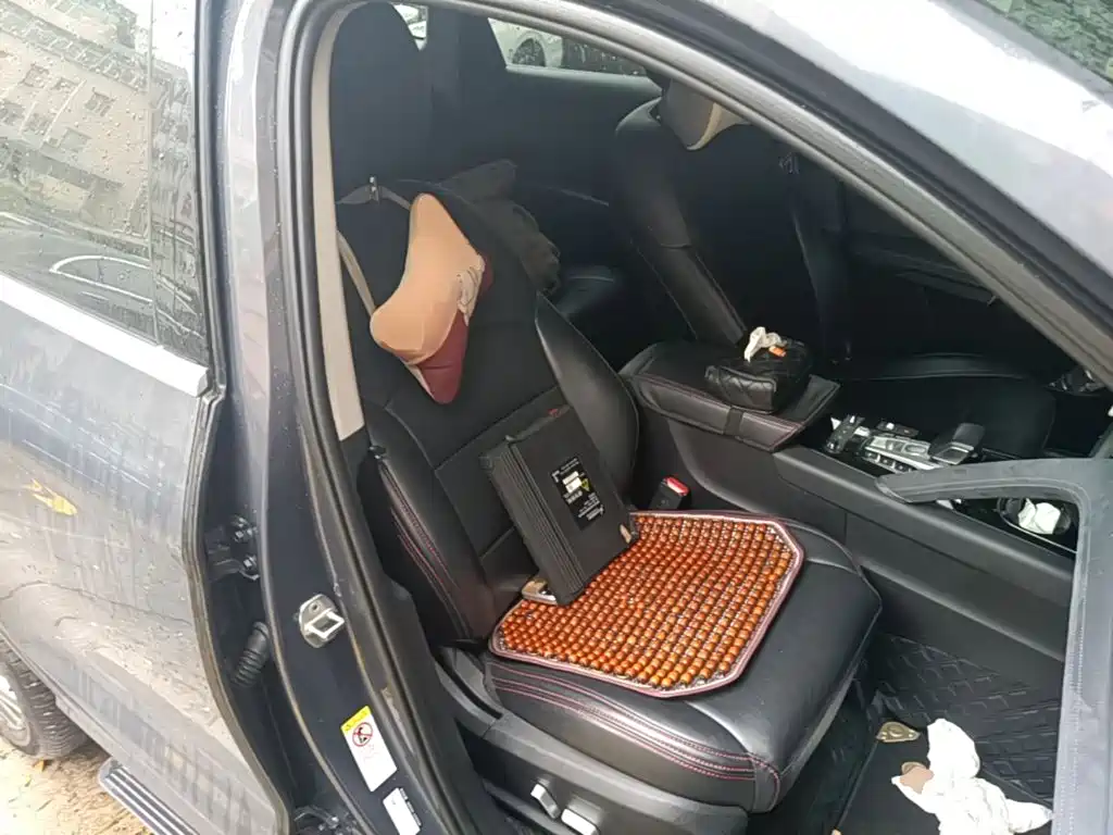 BYD Song Pro New Energy 2021 — фото 25