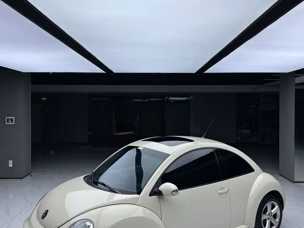 Volkswagen Beetle 2011