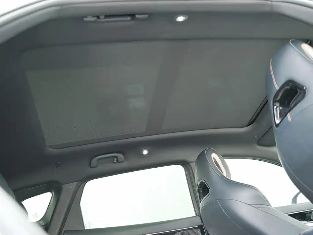 BYD PLUS New Energy 2024 — фото 17