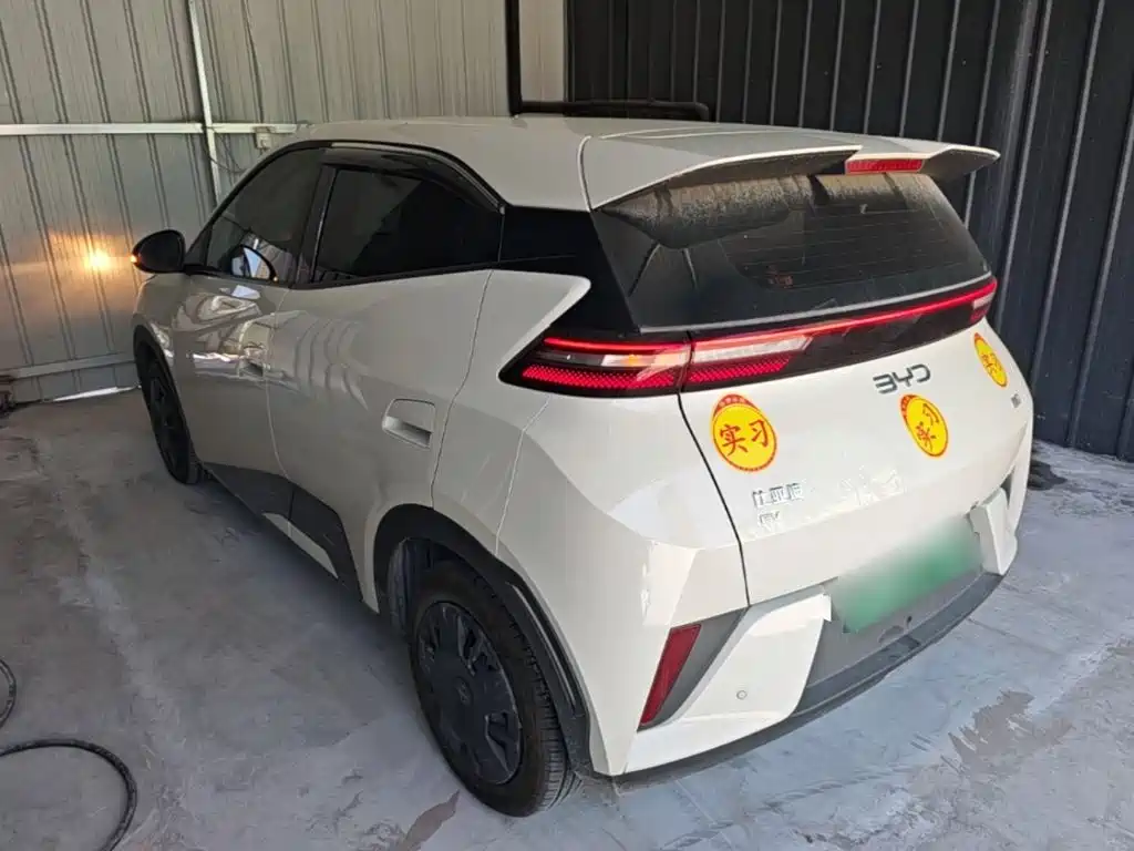 BYD Seagull 2025