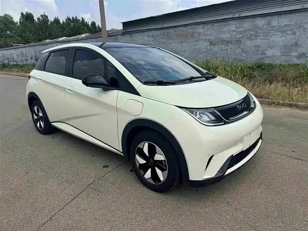 BYD Dolphin 2024