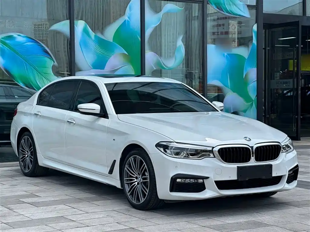 BMW 5 Series 2018 — фото 9