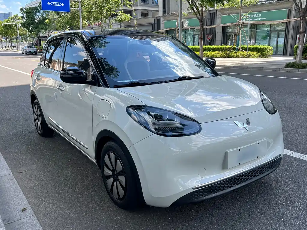 Wuling Bingo 2023