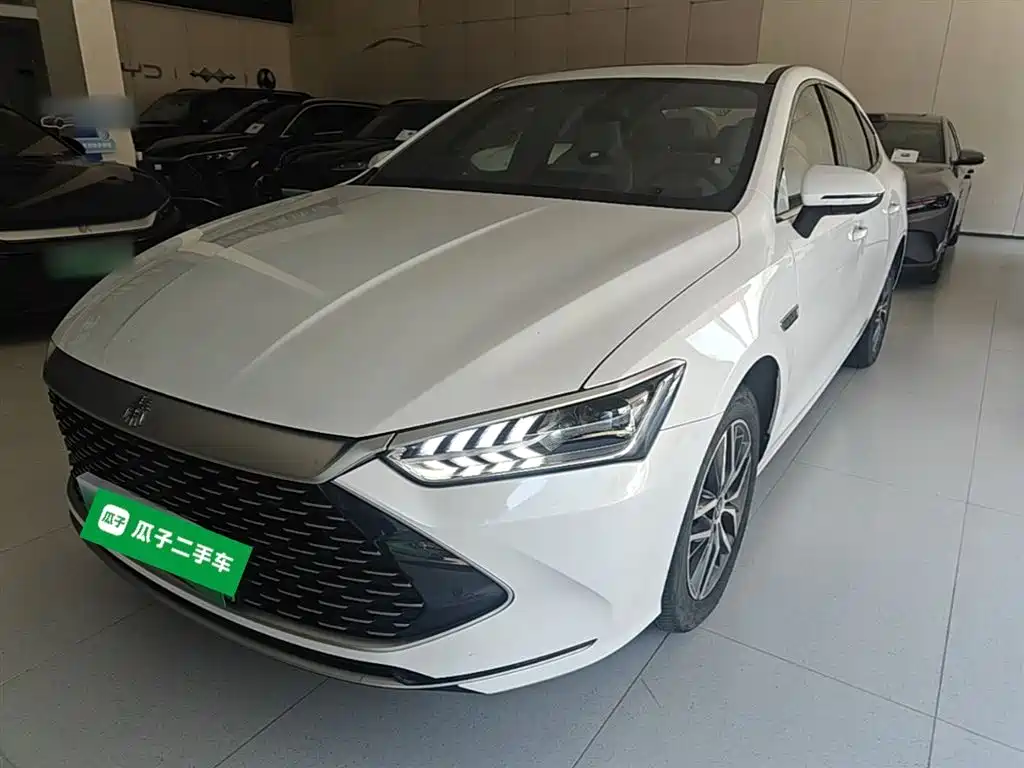 BYD Qin PLUS 2024 — фото 2