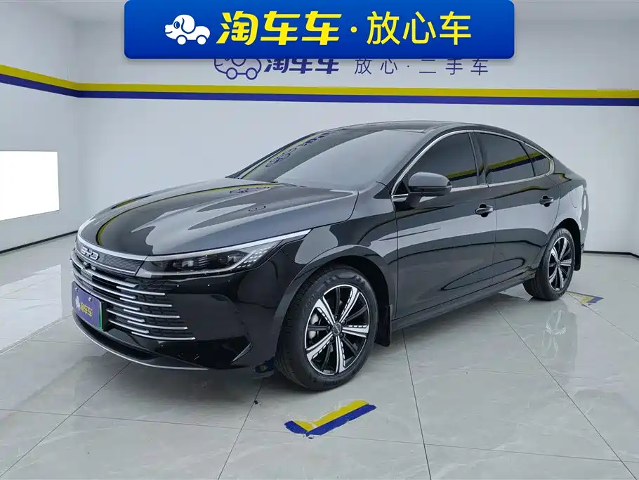 BYD Destroyer 05 2024 — фото 1