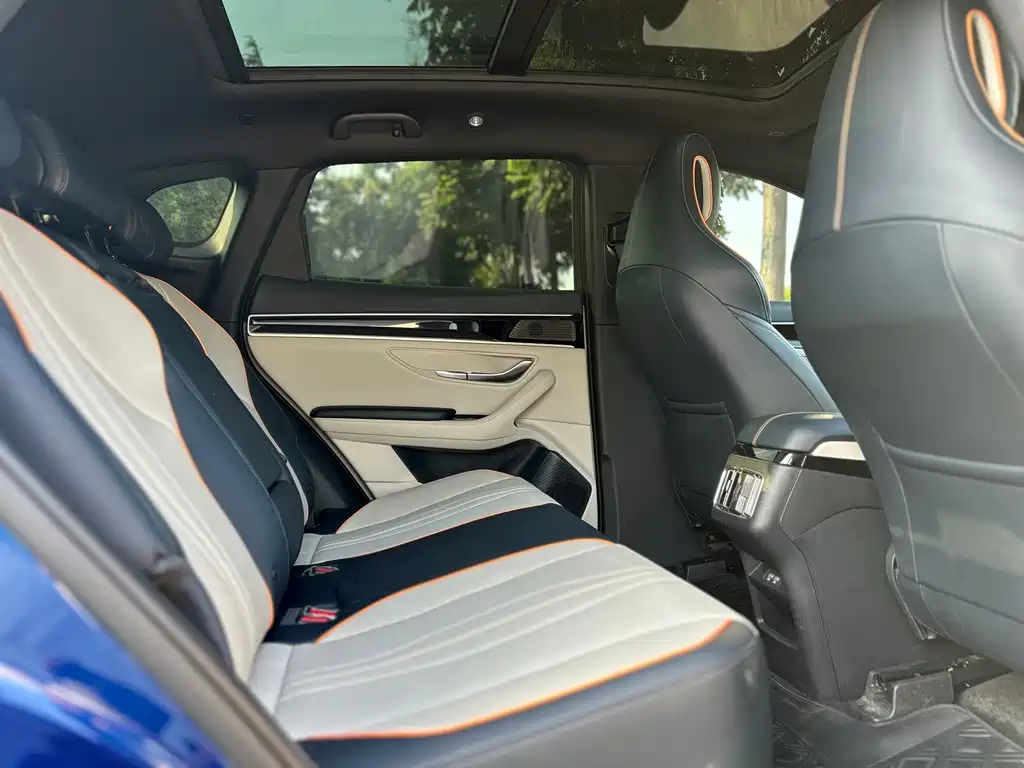 BYD Song PLUS New Energy 2023 — фото 20
