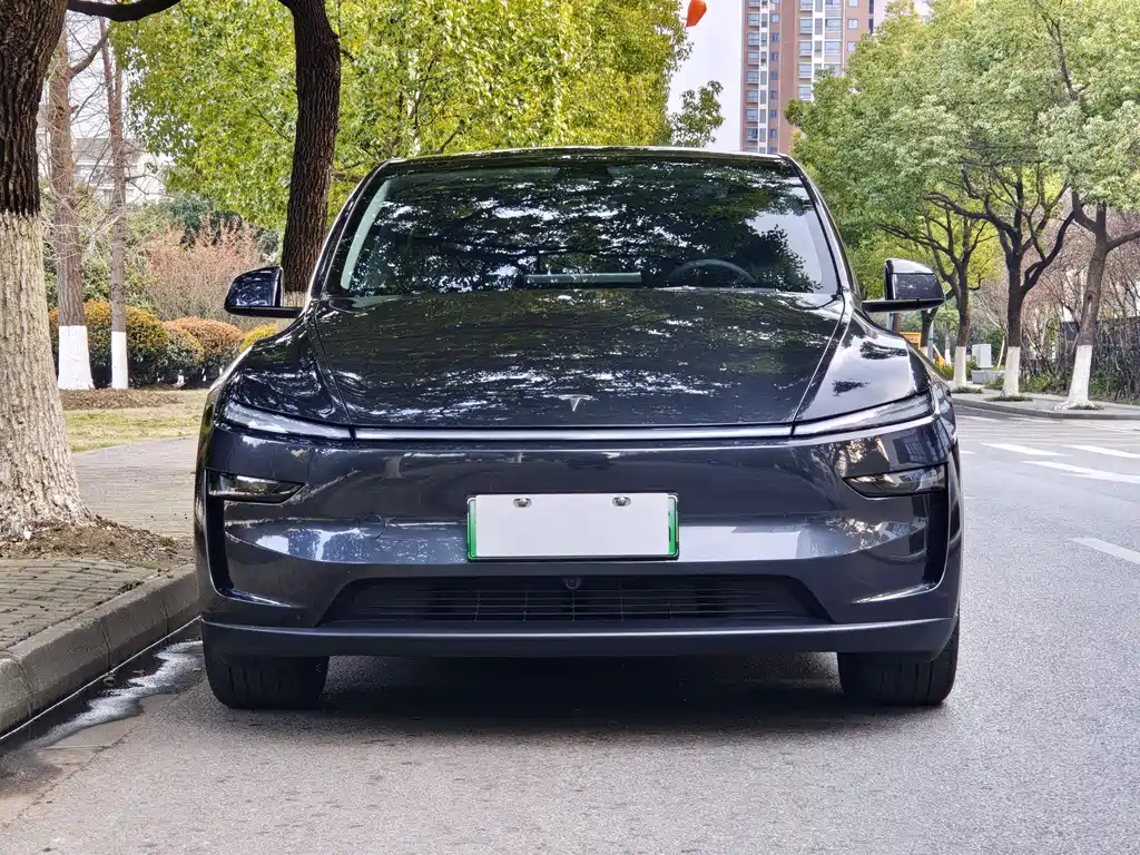 Tesla Model Y 2025 — фото 2