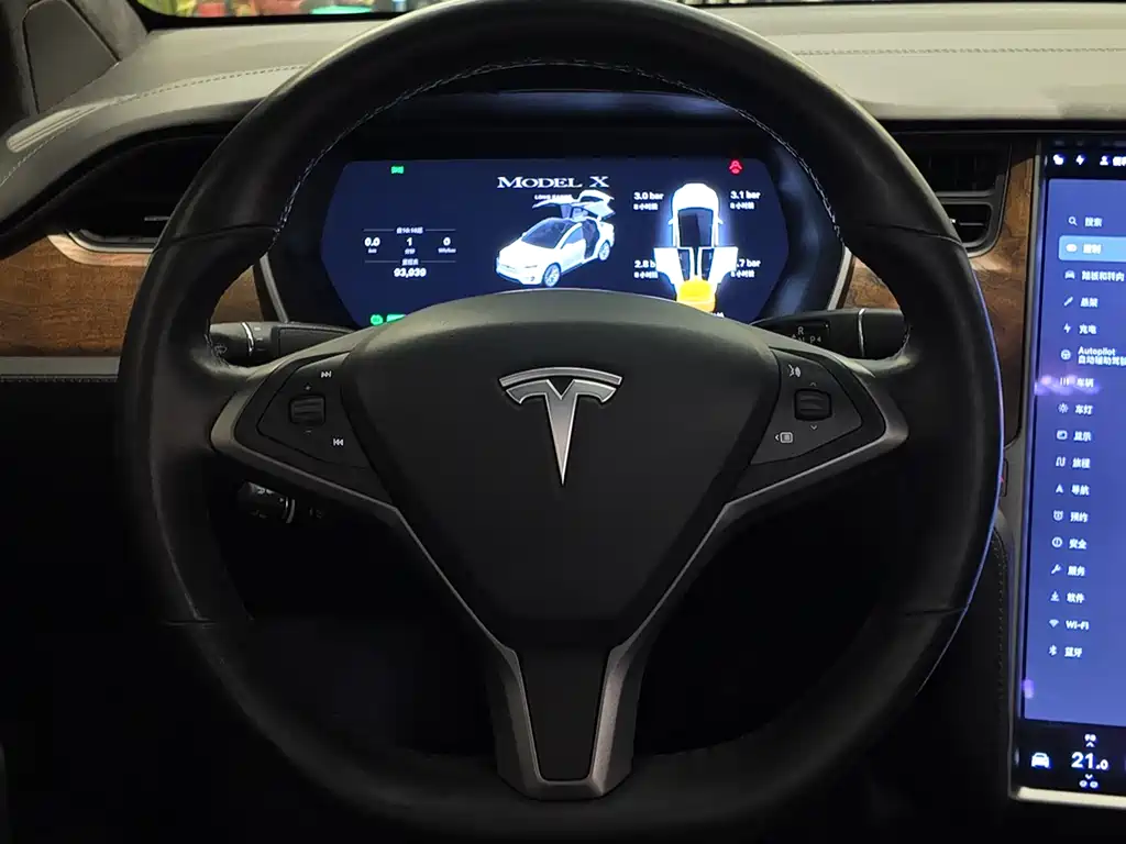 Tesla Model X 2020 — фото 14