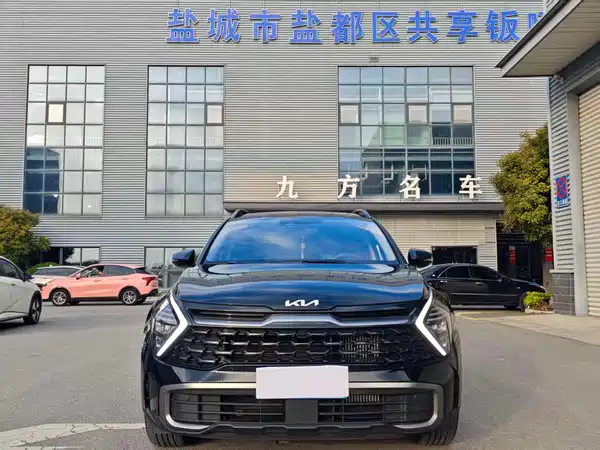 Kia Lion Platinum Expands The Boundary 2025
