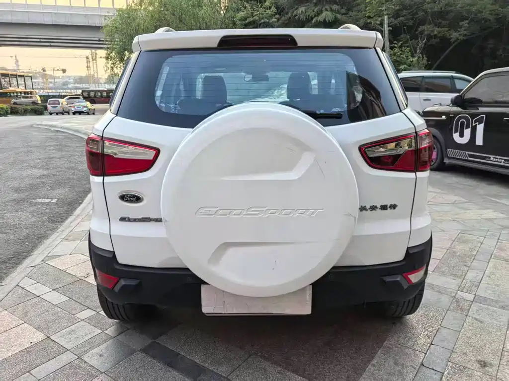 Ford Ecosport 2014 — фото 13