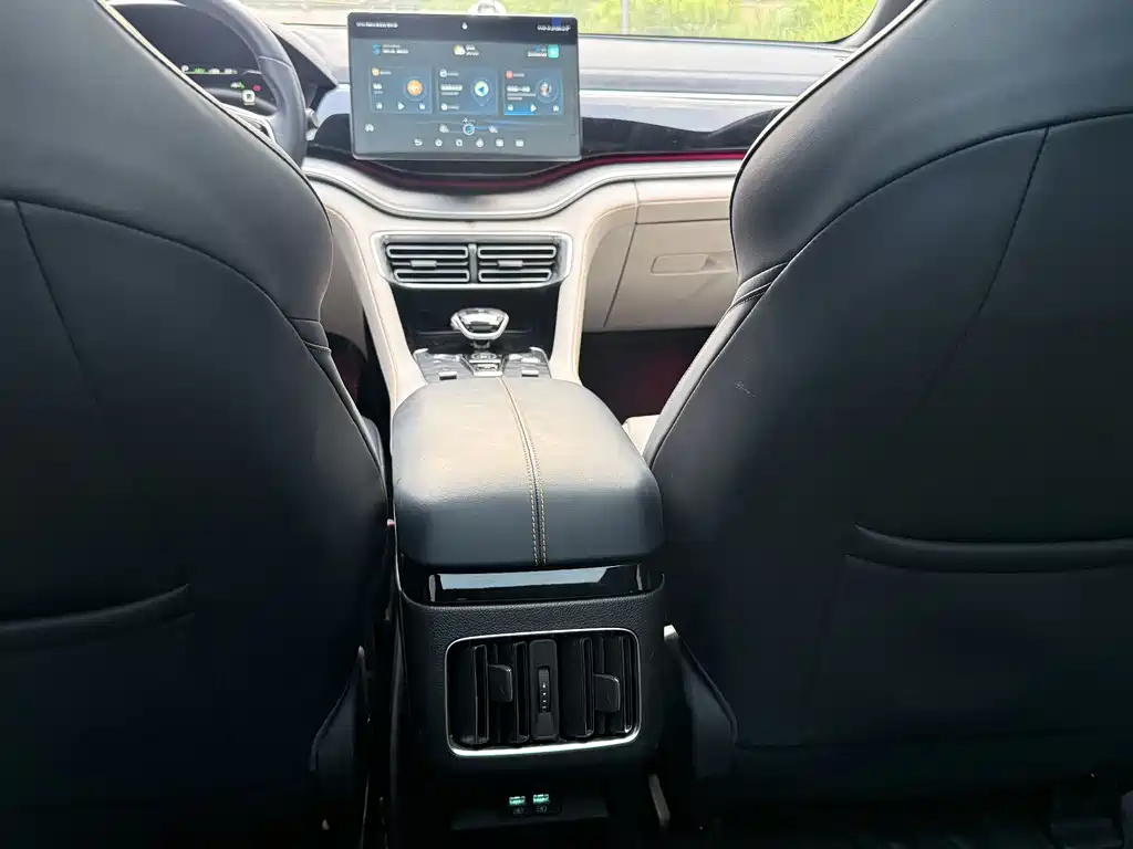 BYD PLUS New Energy 2022 — фото 18