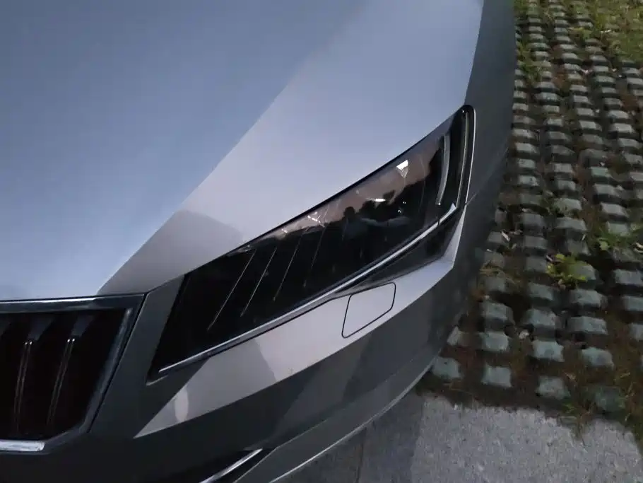 Skoda Speedy 2017