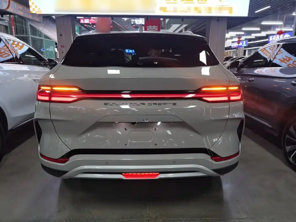 BYD PLUS New Energy 2023 — фото 6