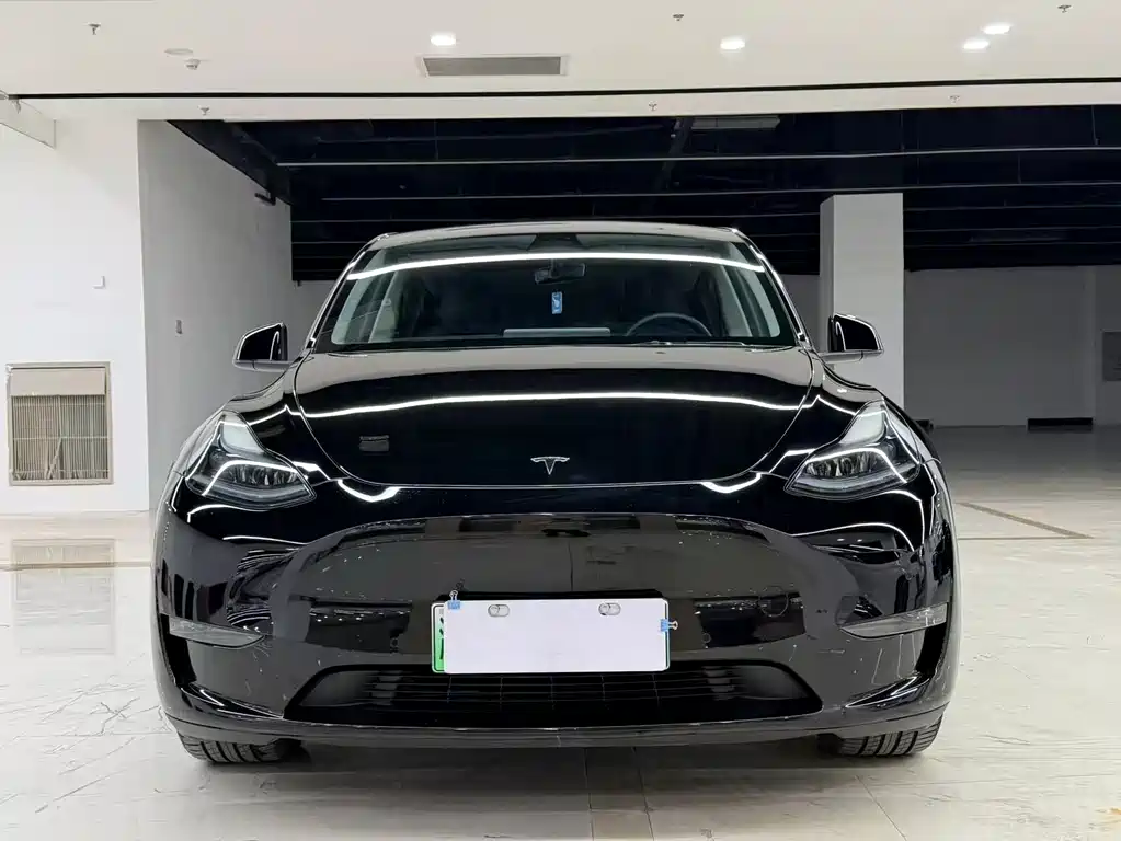 Tesla Model Y 2021 — фото 2