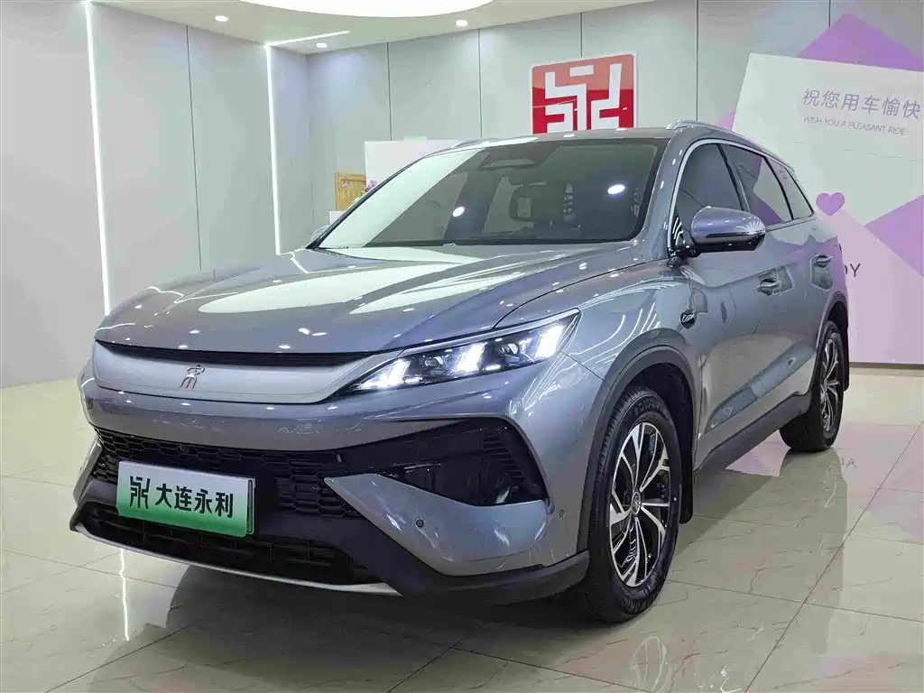 BYD Pro New Energy 2025 — фото 1