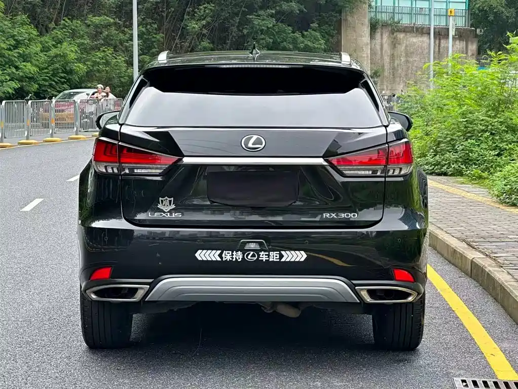 Lexus RX 2022 — фото 19