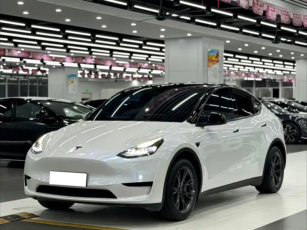 Tesla Model Y 2024 — фото 1