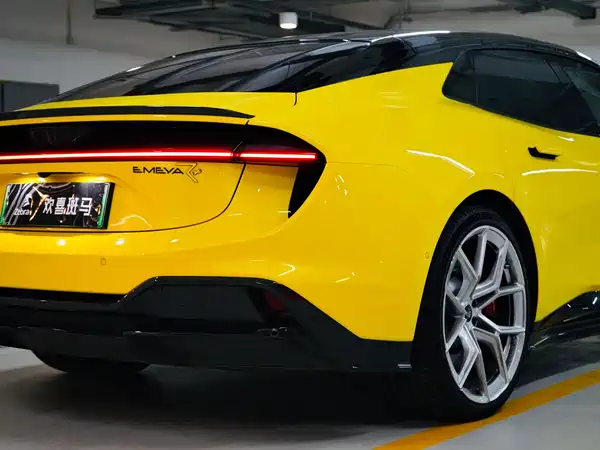 Lotus EMEYA 2024