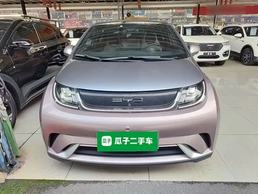 BYD Dolphin 2022