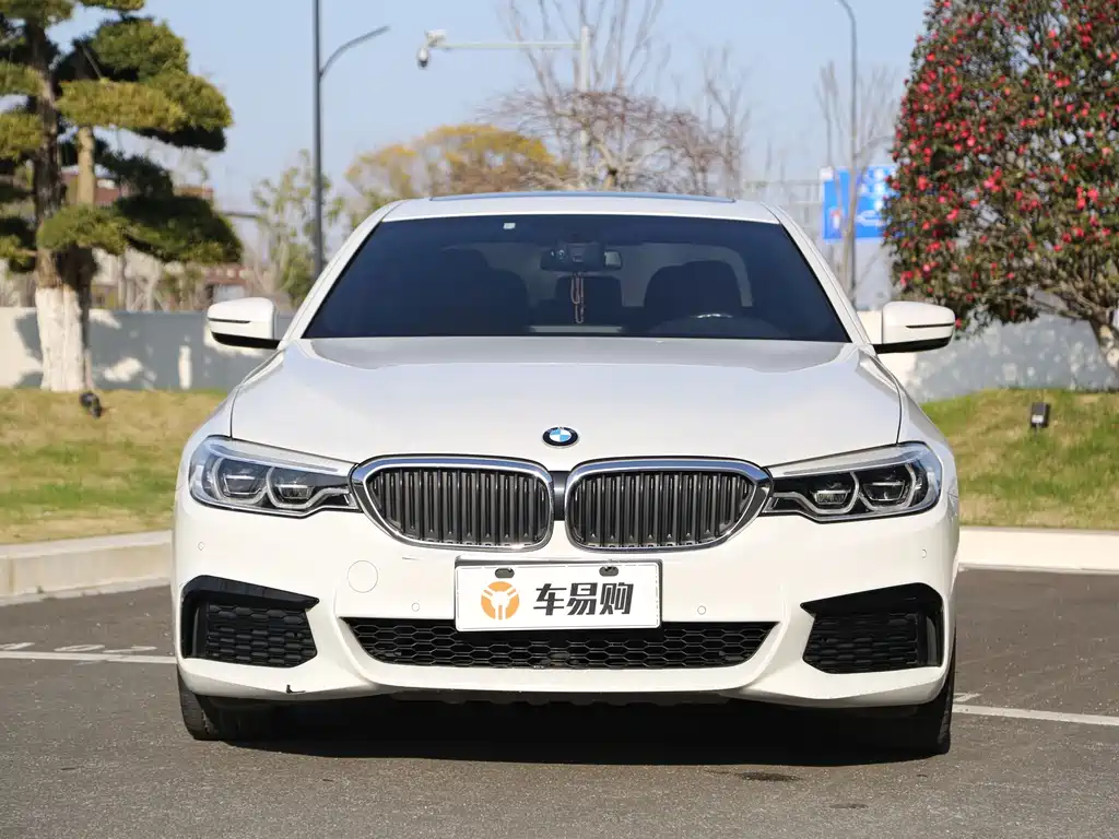BMW 5 Series 2020