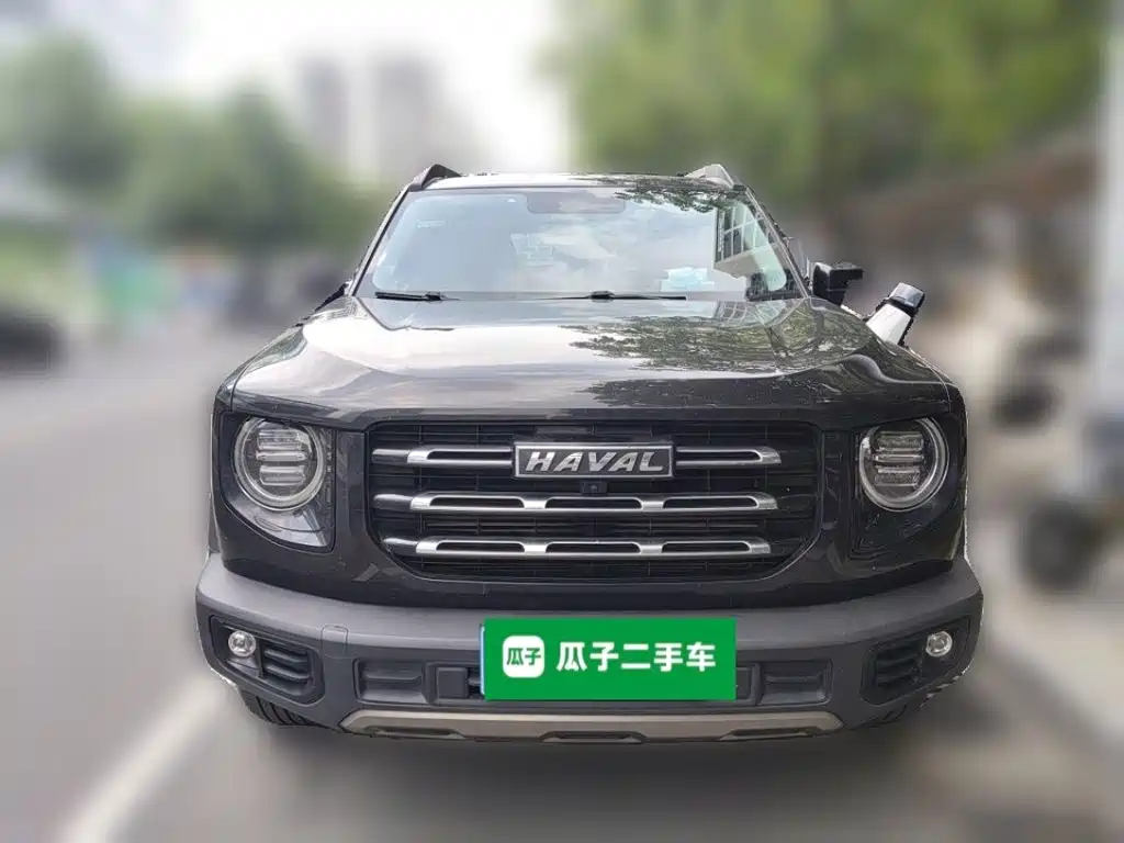 Haval Big Dog 2021 — фото 24