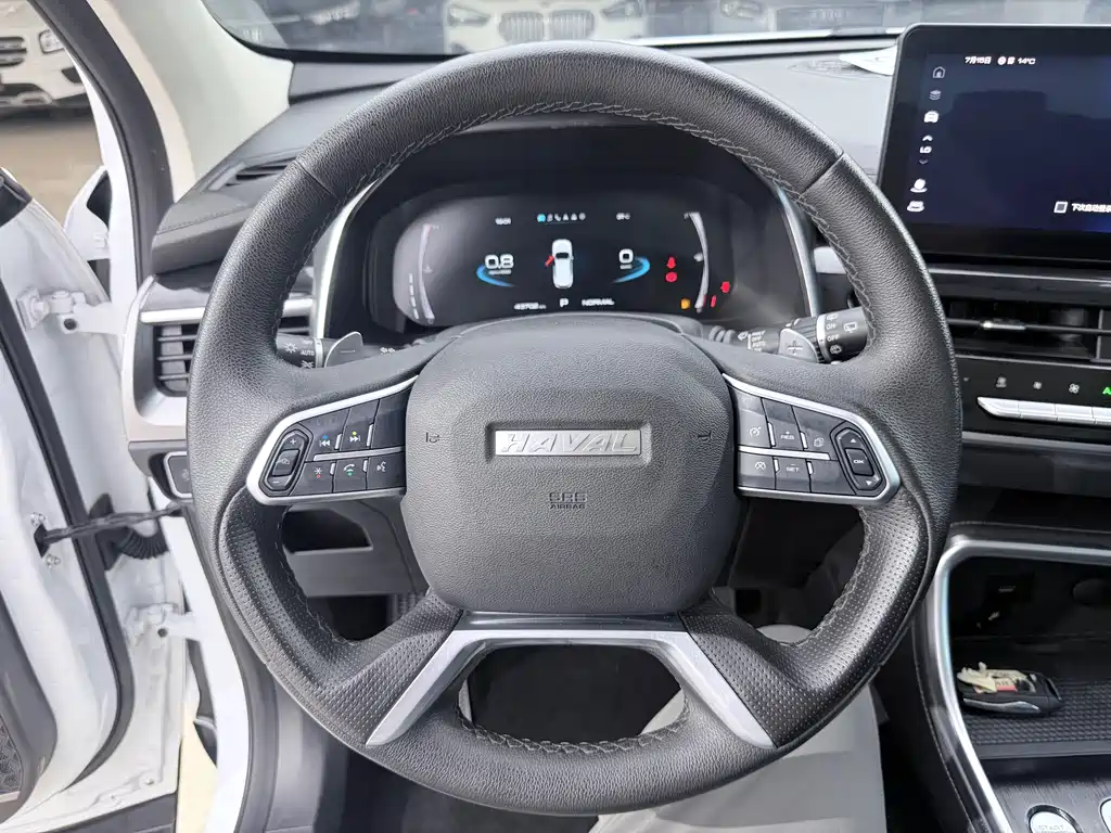 Haval H6 2022 — фото 10