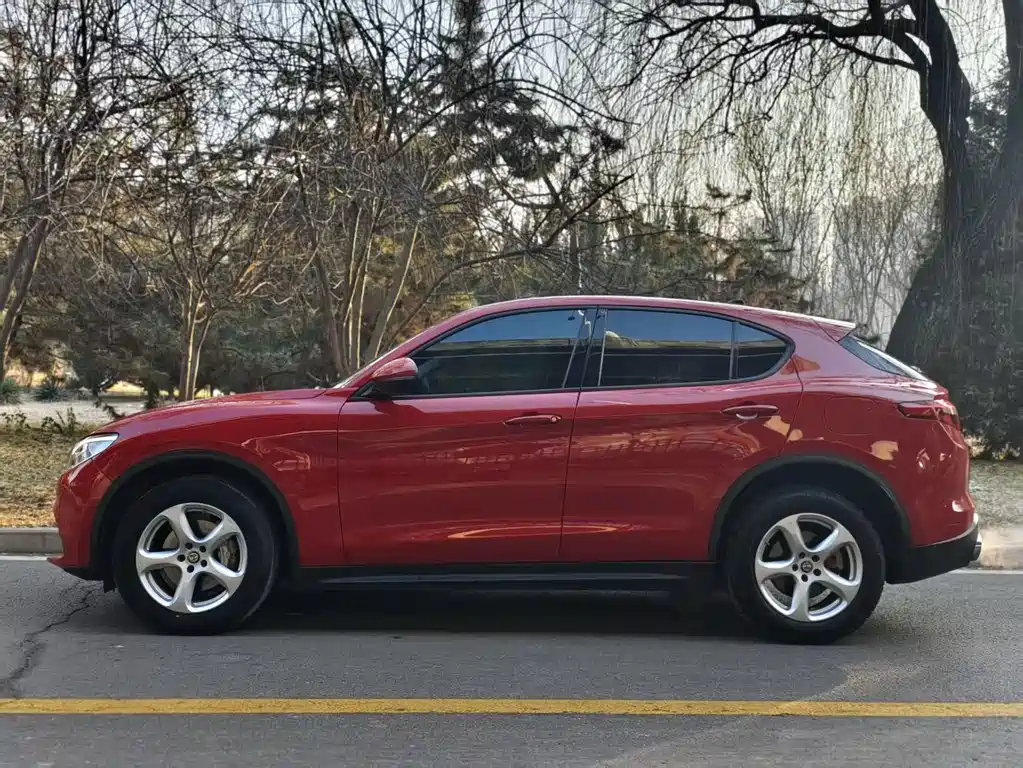 Alfa Romeo Stelvio 2019 — фото 2