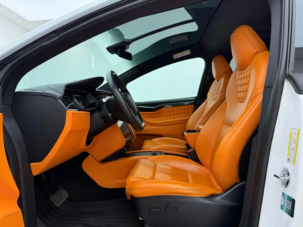 Tesla Model X 2020 — фото 11
