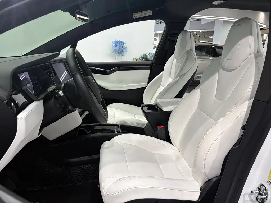 Tesla Model X 2019 — фото 8
