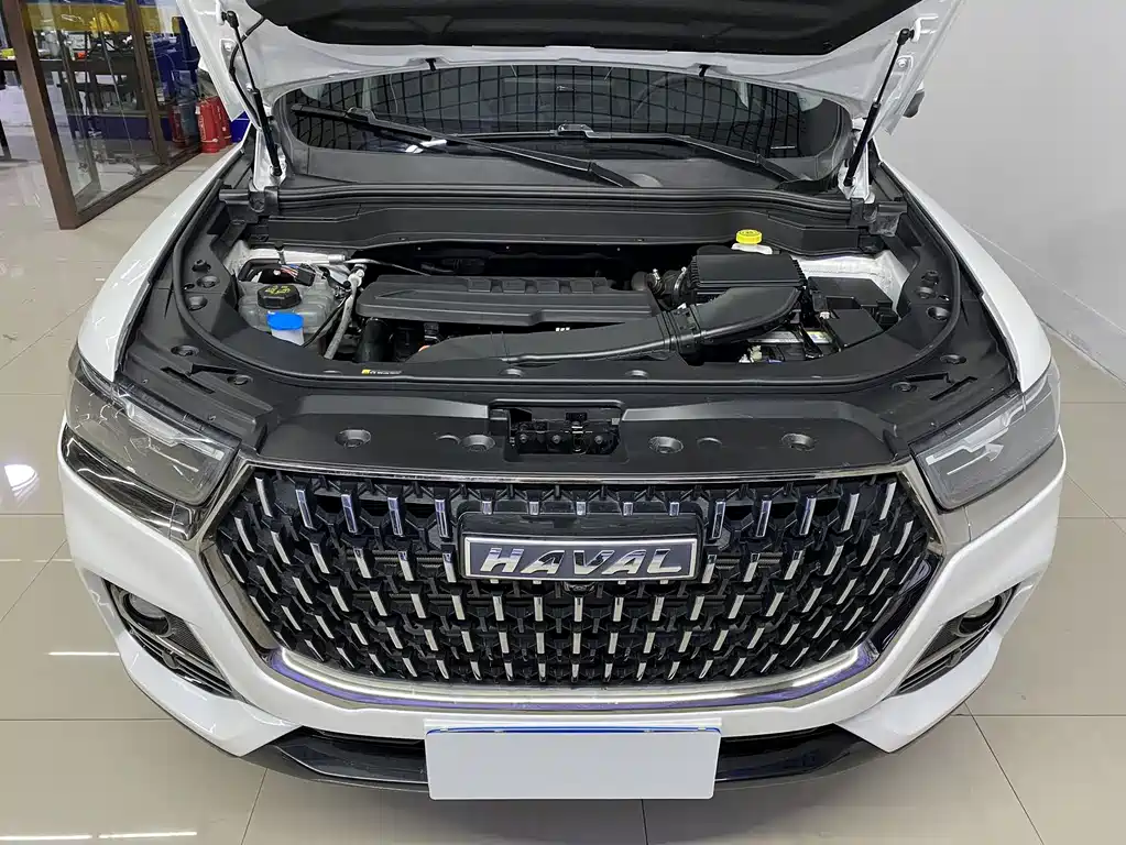 Haval H6 2023 — фото 19