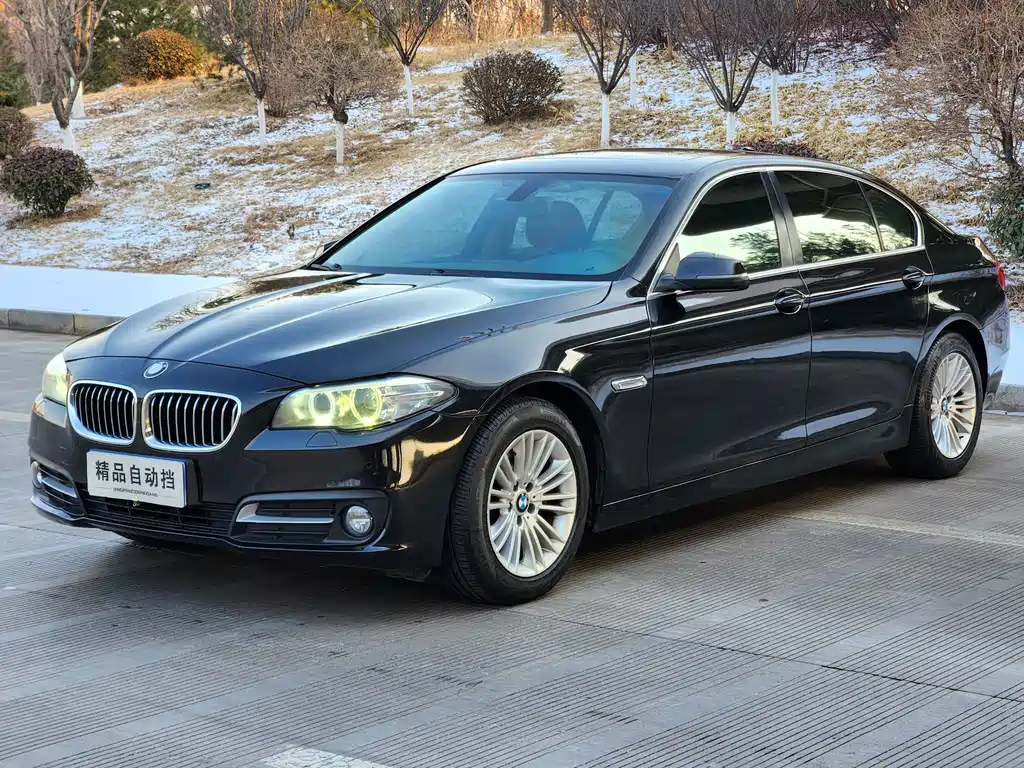 BMW 5 Series 2015 — фото 2