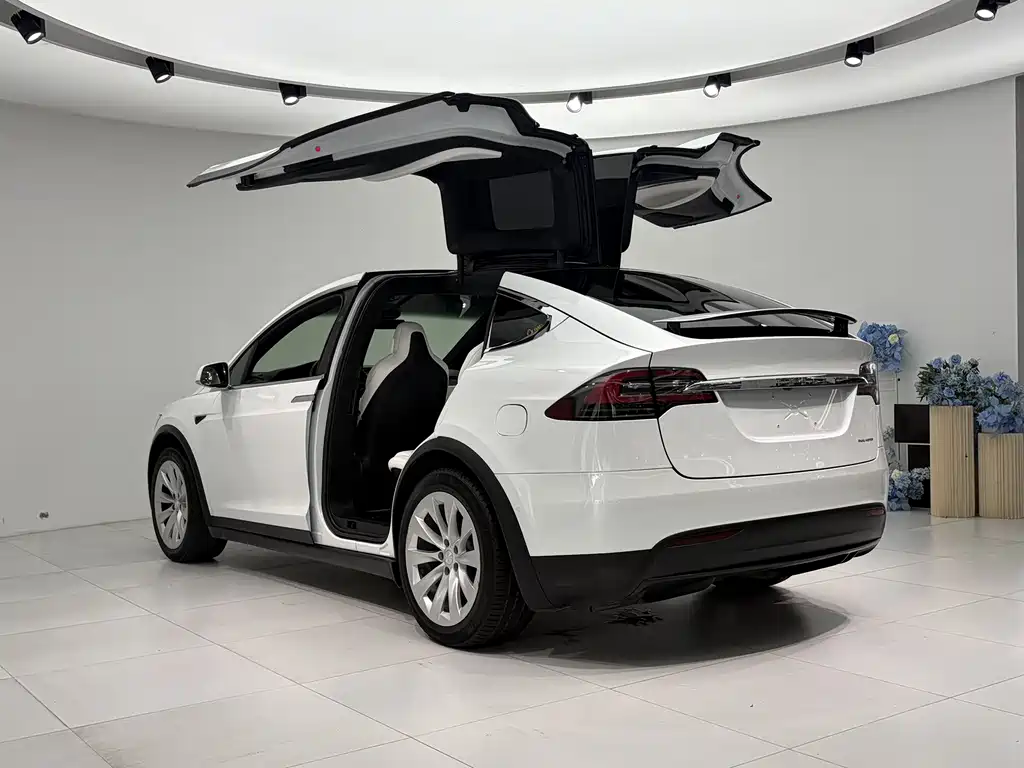 Tesla Model X 2019