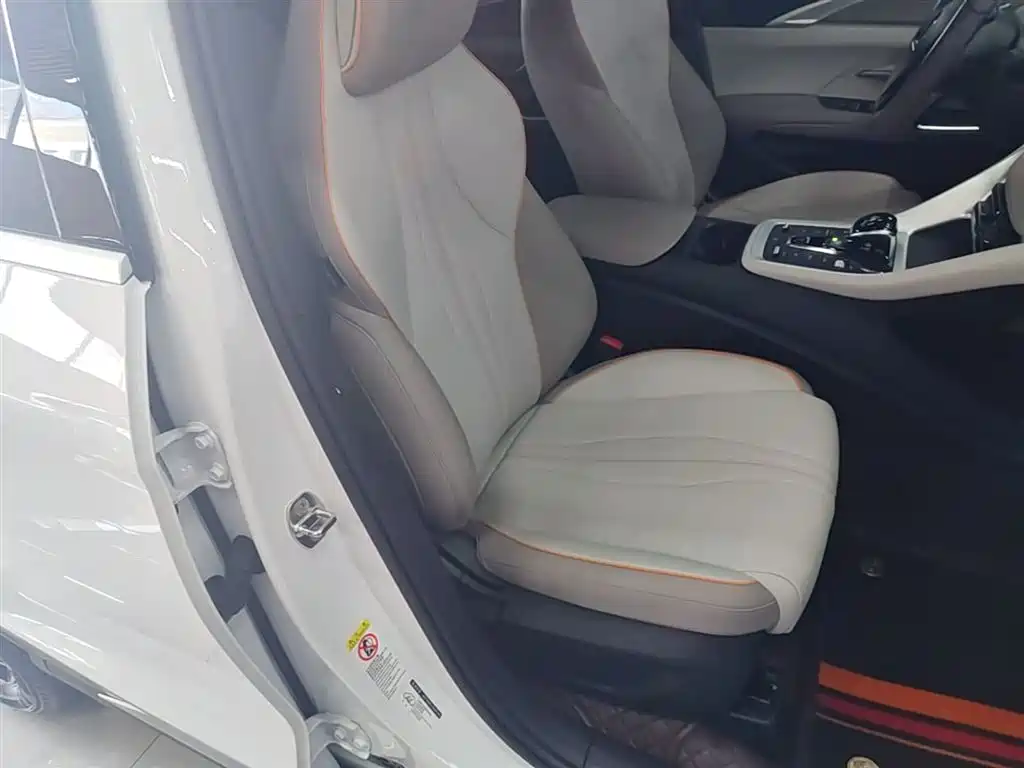 BYD Pro New Energy 2024 — фото 25