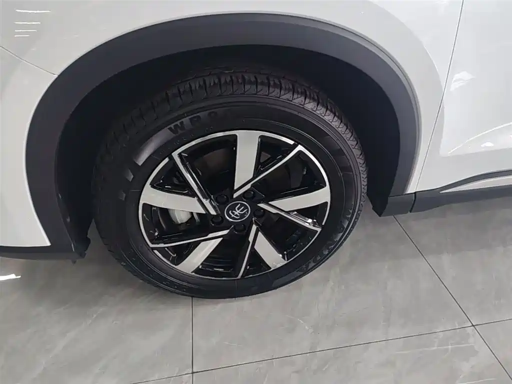 BYD Pro New Energy 2024 — фото 23