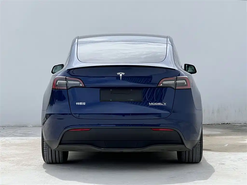 Tesla Model Y 2023 — фото 4
