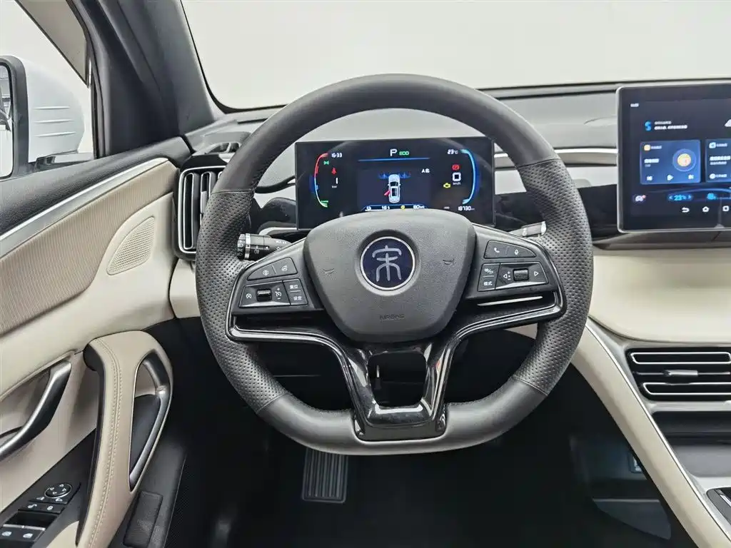 BYD Pro New Energy 2024 — фото 11