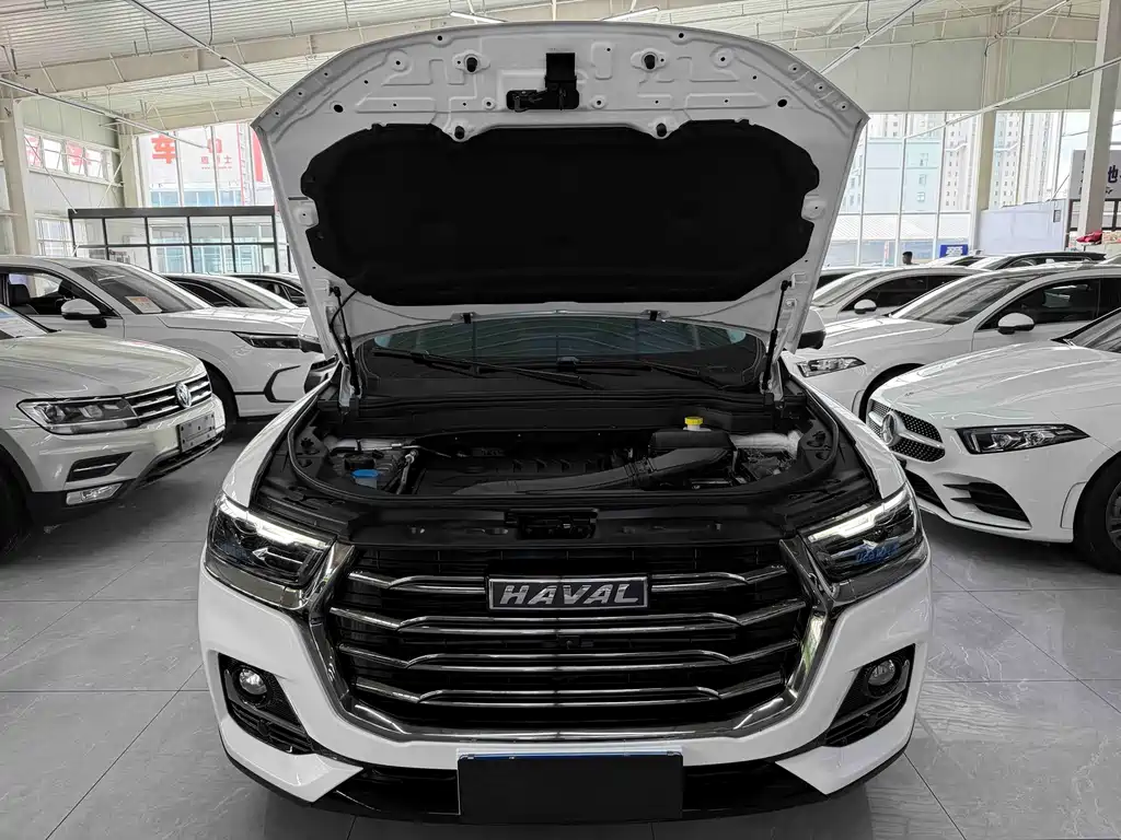 Haval H6 2022 — фото 20