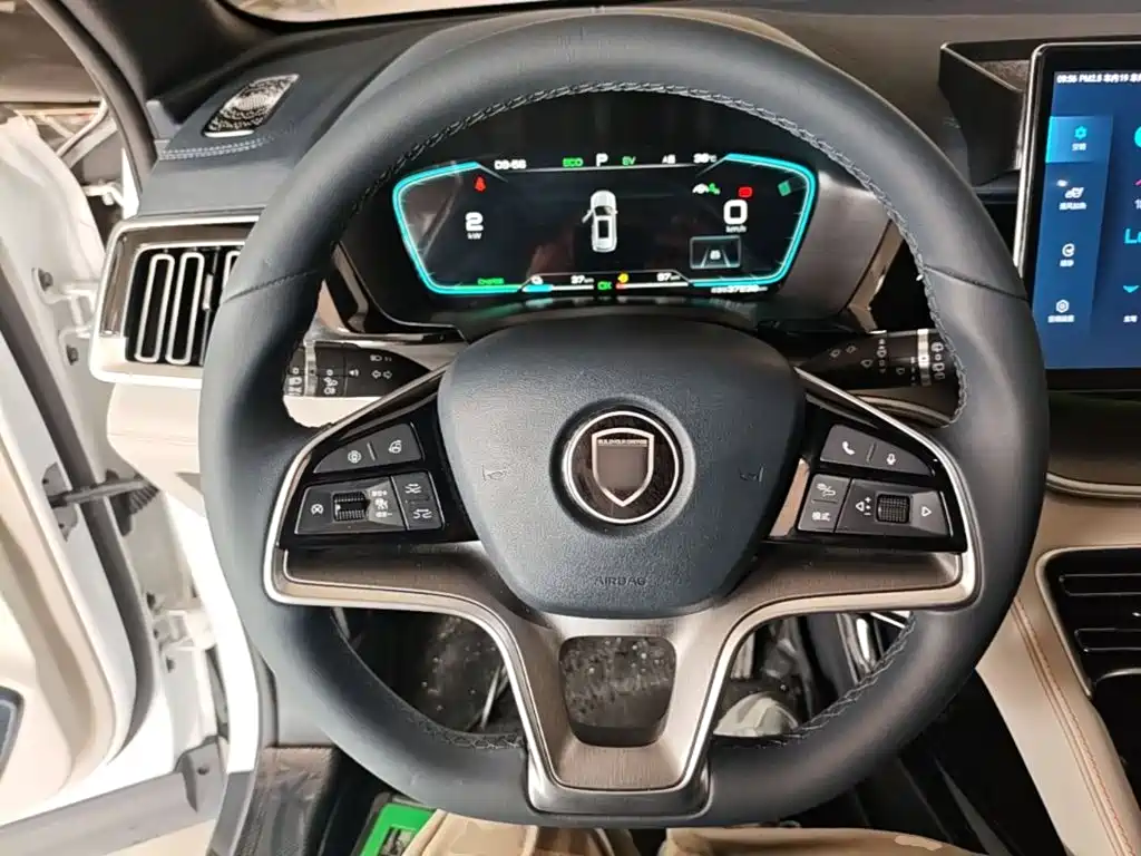 BYD Song PLUS New Energy 2023 — фото 11