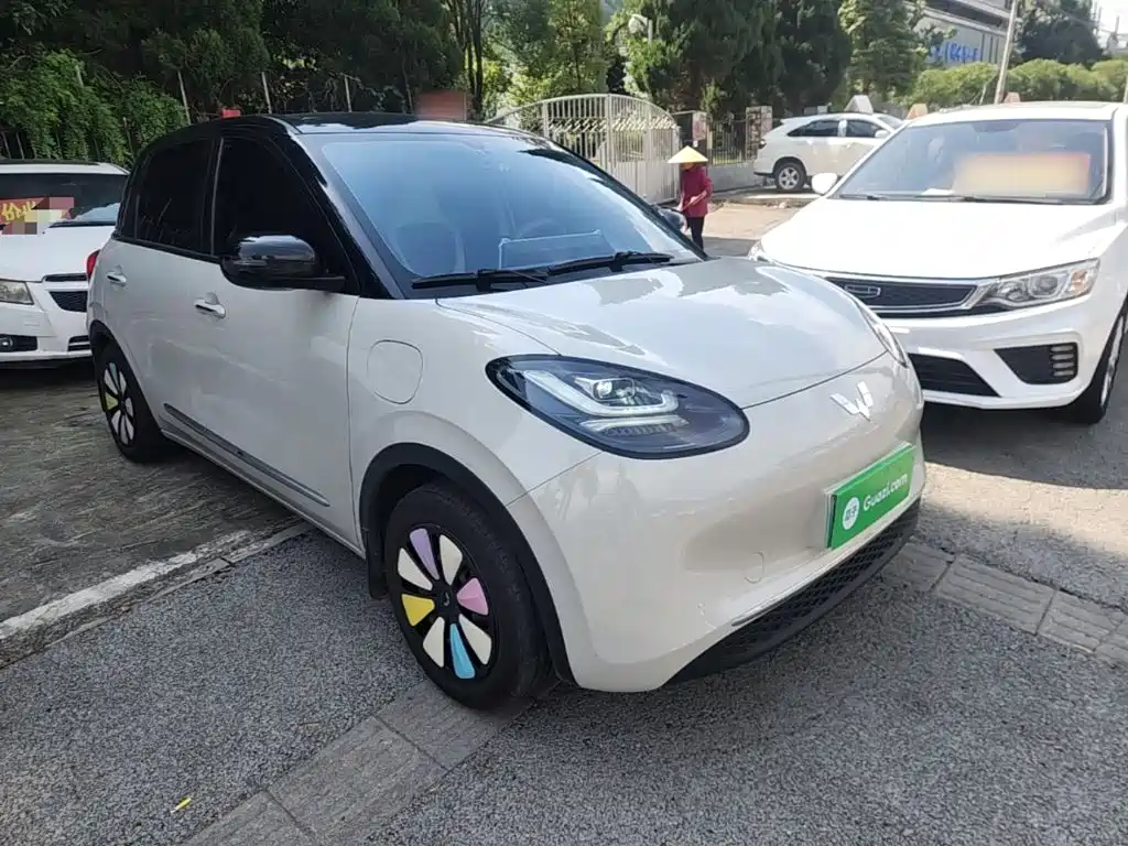 Wuling Bingo 2024