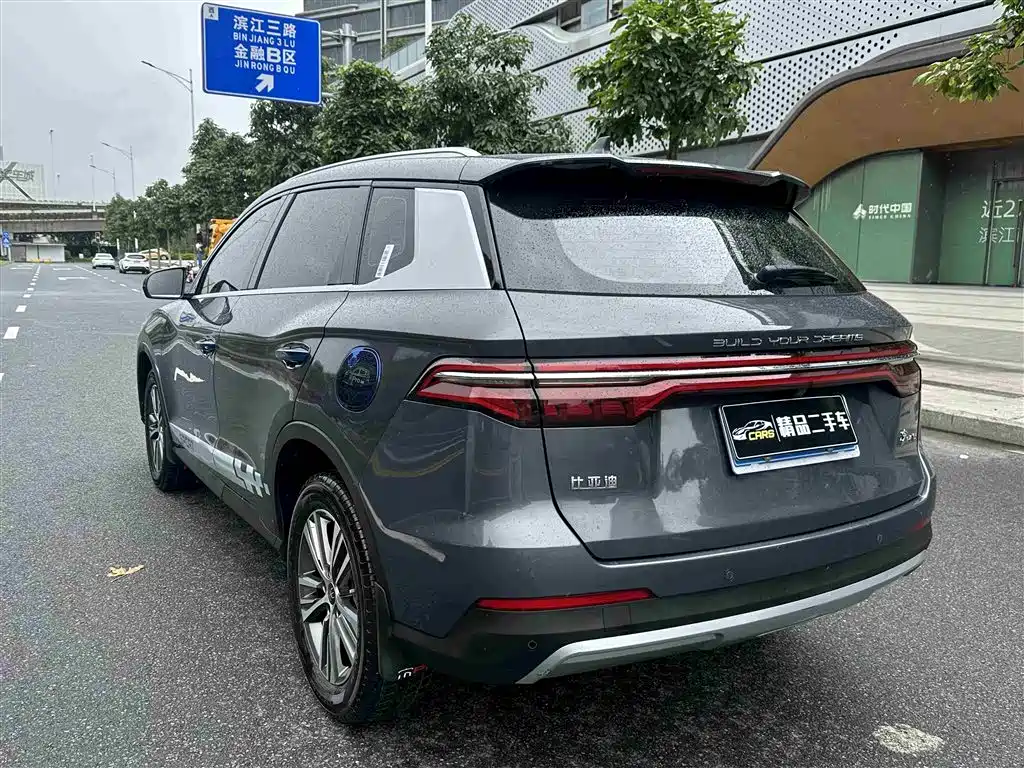BYD Pro 2020 — фото 9