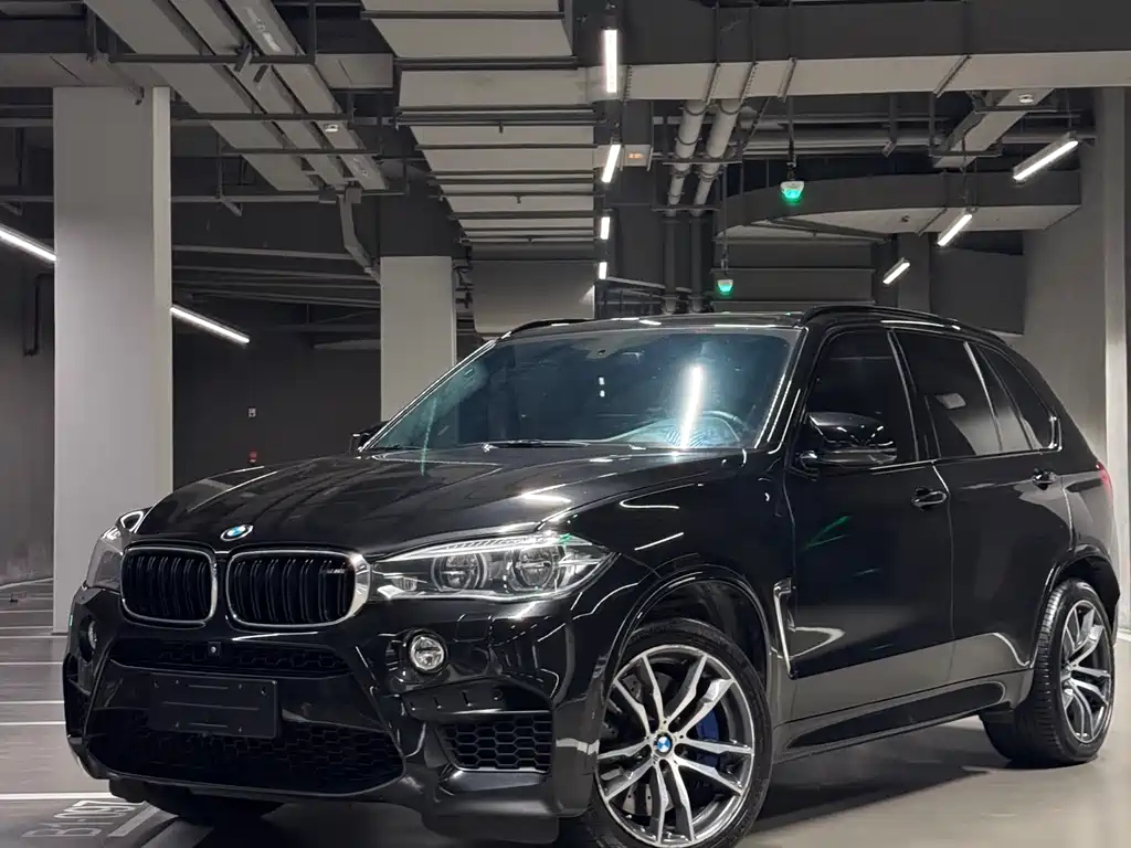 BMW X5 M 2016 — фото 1